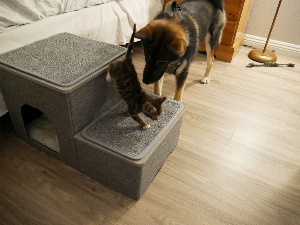 3 in 1 Pet Stairs
